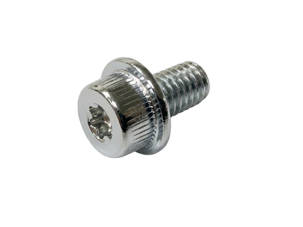 Torx Screw